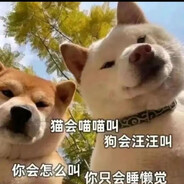 菜菜的瞅我干啥