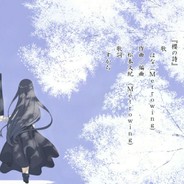 windtch(社畜已afk)