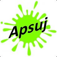 Apsuj13