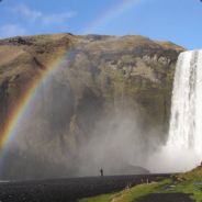 Cunning - steam id 76561197970389120