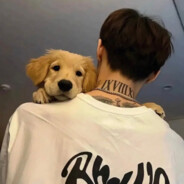 夜观星河朝观晨