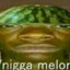 Melon Nibba