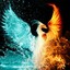 Reincarnation Of Phoenix