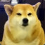 elDoge