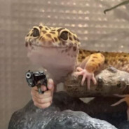 Gecko with a Glock