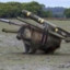 Combat Wombat