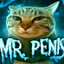 Mr. Penis
