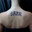 Saar