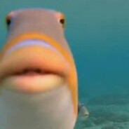 Дуня Кулакова