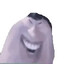 Otto