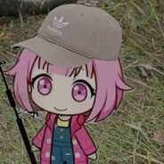 тапочки из свиней