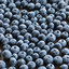 Blueberries