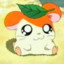 Hamtaro