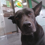 ดำ เซเว่น