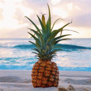 pineapple