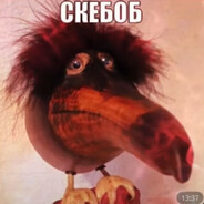 НАГИБАТОР avatar