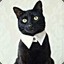 ✪ LIL CATWICK