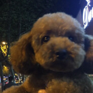 MoronPark_给你个赞yo