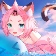 如果手和脚打架，我会为了手赢而打脚