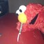 elmo loves nose candy!