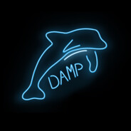 DampDolphin