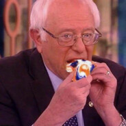 Bernie Bricked Up Sanders