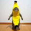 Banana Cat