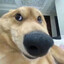 iKun