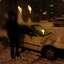 Igrivyi batonchik :3