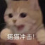 不∠