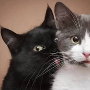 吃屎不忘拉屎人