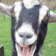 𝙂.𝙊.𝘼.𝙏. ProPlayer