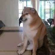 真不知道取啥名abc