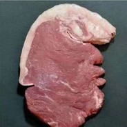 魔法少男特狼普