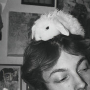 林黛玉倒拔杨柳