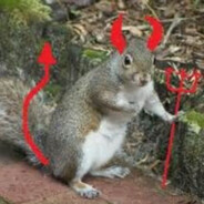 Evil Squirrel