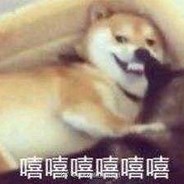 偷鸡摸狗老赵头