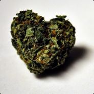 Dzidzaa ^^ - steam id 76561197961352252