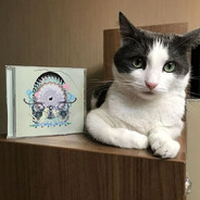 der.fm