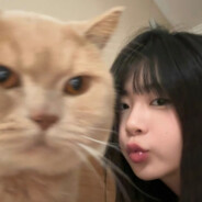 我复习你给的温柔