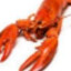 real life shrimp
