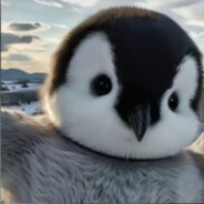 Skipper