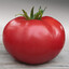 Fanatyk pomidorów