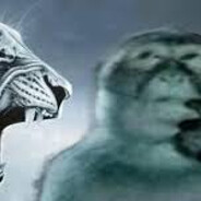 не понимаю русски