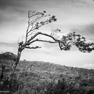 旗舰级至尊Ultra-Promax