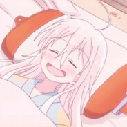 鸡棚正规军（带编制）