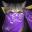 紫猫