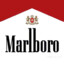 MARLBORO