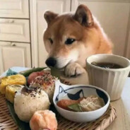 木头