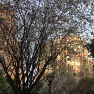 翻斗花园健康哥哥